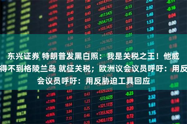 东兴证券 特朗普发黑白照：我是关税之王！他威胁欧洲多国：得不到格陵兰岛 就征关税；欧洲议会议员呼吁：用反胁迫工具回应