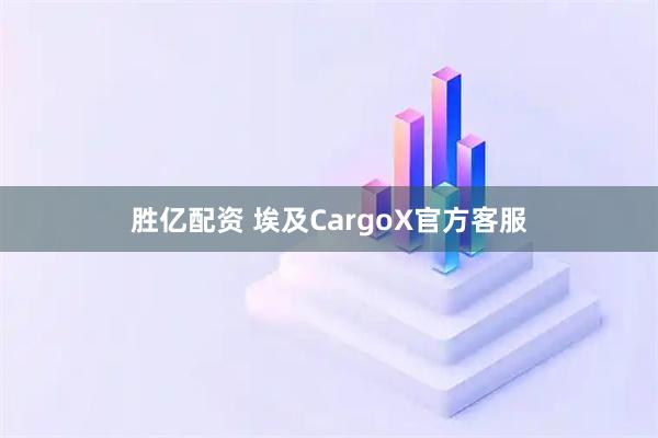 胜亿配资 埃及CargoX官方客服