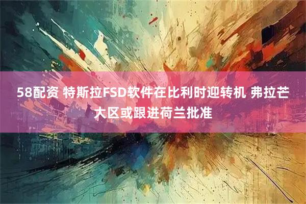 58配资 特斯拉FSD软件在比利时迎转机 弗拉芒大区或跟进荷兰批准